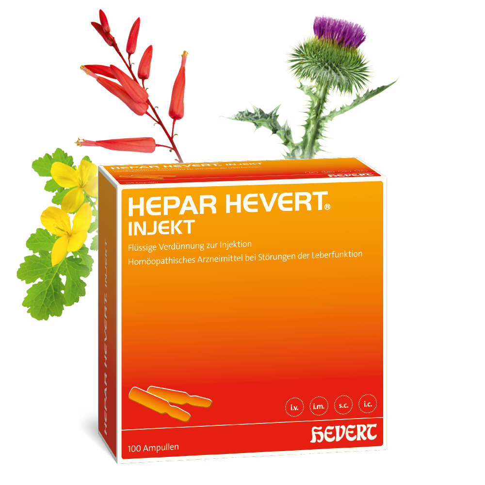 Hevert Injection Hepar Hevert injekt bei Störungen der Leberfunktion - 100 Ampullen